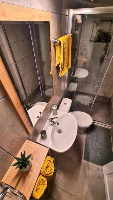 Downtown Studio-Loft 康斯坦察 外观 照片